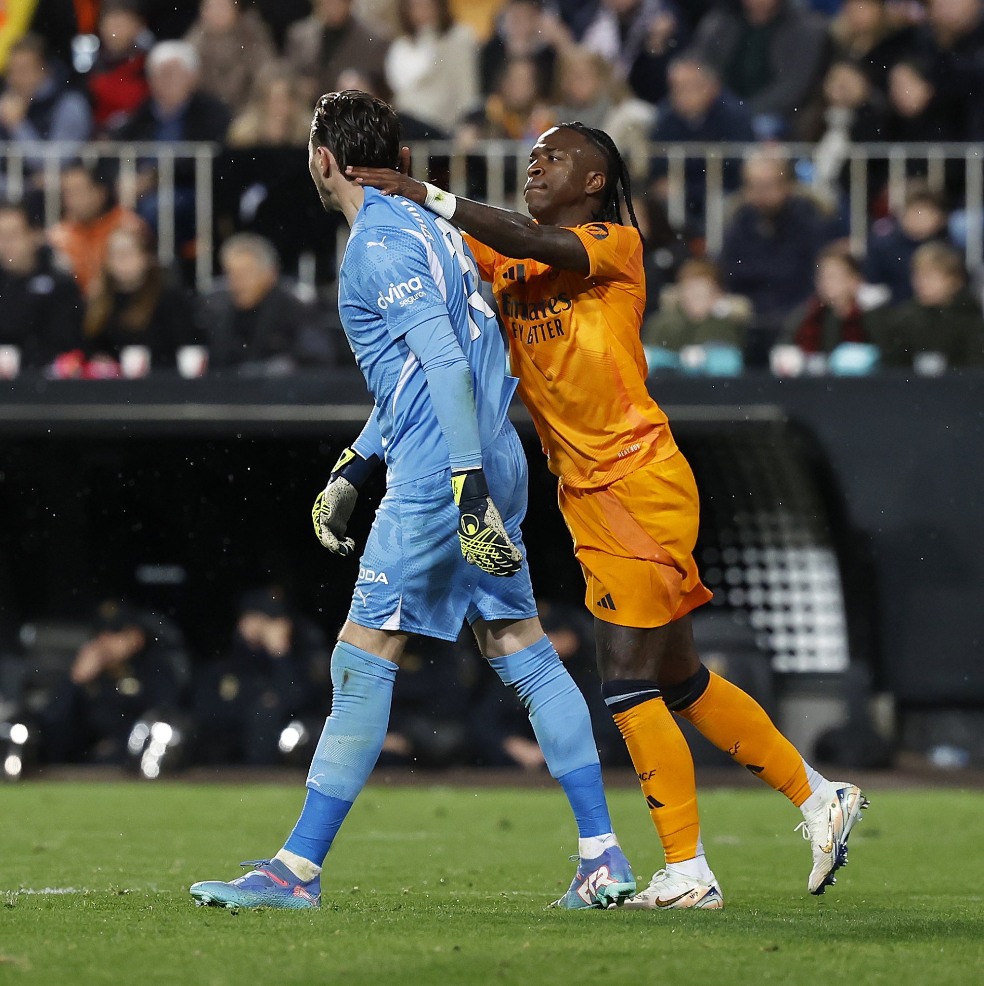 并承诺将采 并承诺将采