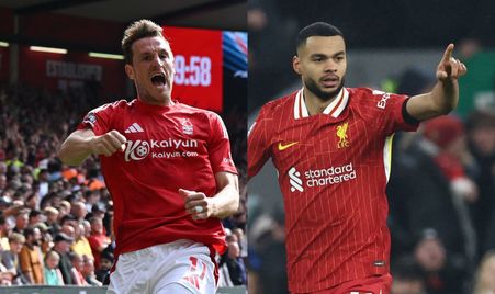 部带来了诸 部带来了诸