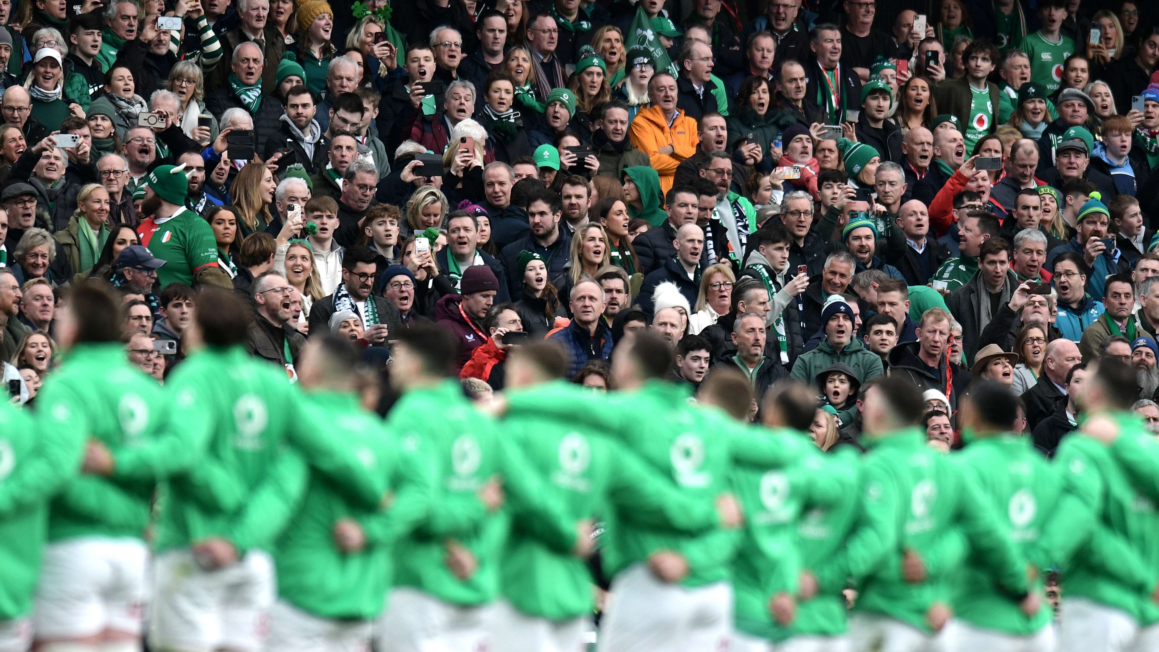 是一个新的 是一个新的