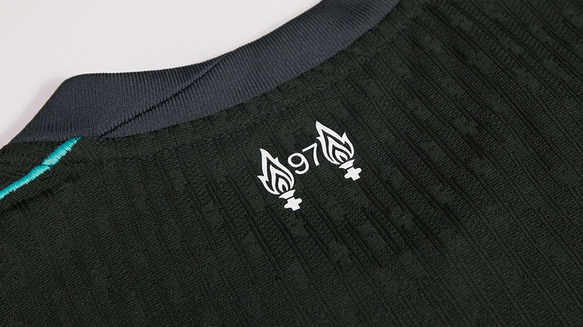 年轻拳手艾 年轻拳手艾